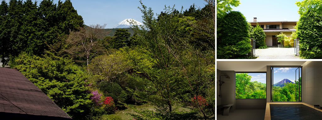 Forest view suite “AOI”